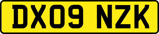 DX09NZK