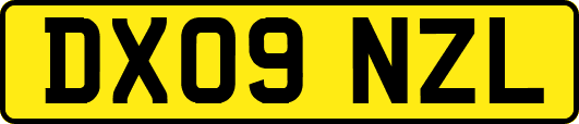 DX09NZL