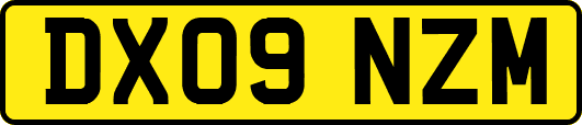 DX09NZM