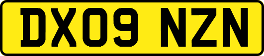 DX09NZN
