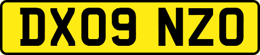 DX09NZO