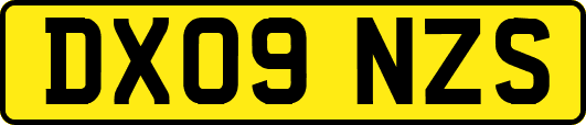 DX09NZS