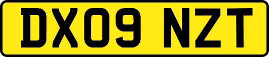 DX09NZT