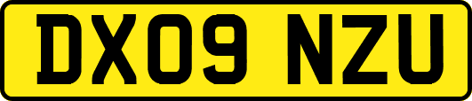 DX09NZU