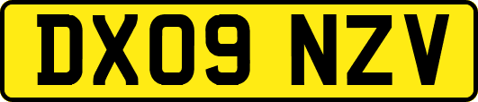DX09NZV