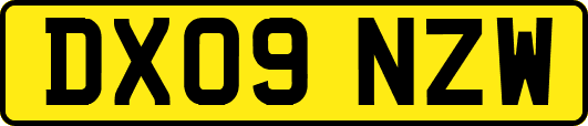 DX09NZW