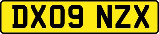 DX09NZX