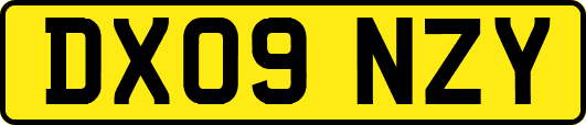 DX09NZY