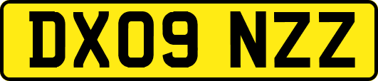 DX09NZZ