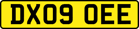 DX09OEE