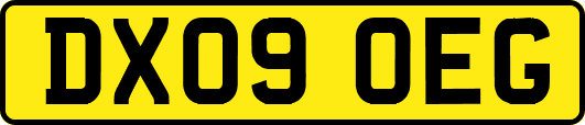 DX09OEG