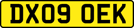 DX09OEK