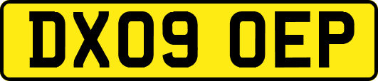 DX09OEP