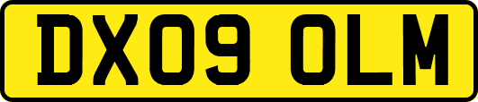 DX09OLM