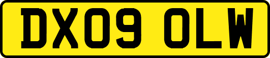 DX09OLW
