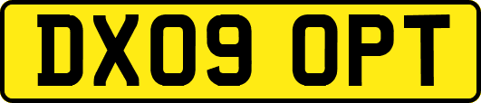 DX09OPT