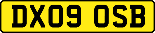 DX09OSB