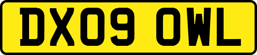 DX09OWL