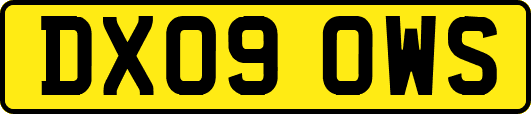 DX09OWS