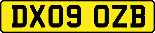 DX09OZB