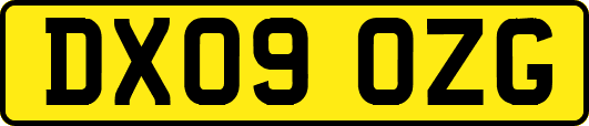 DX09OZG