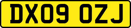 DX09OZJ