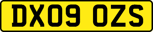 DX09OZS