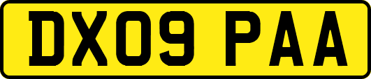 DX09PAA