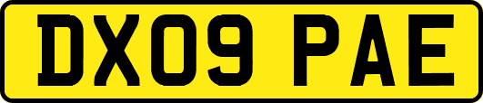 DX09PAE