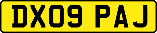 DX09PAJ