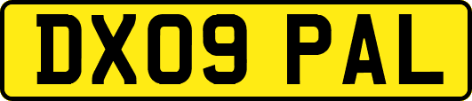 DX09PAL