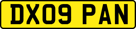 DX09PAN