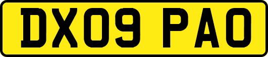 DX09PAO