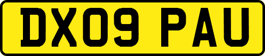 DX09PAU
