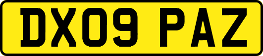 DX09PAZ