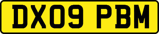 DX09PBM