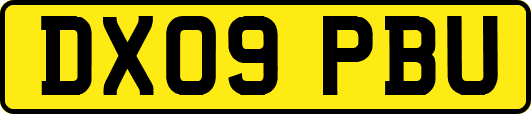 DX09PBU