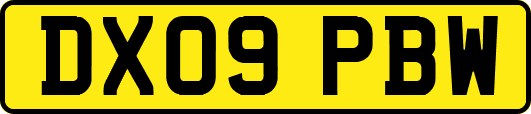 DX09PBW
