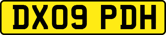 DX09PDH
