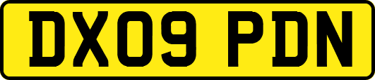 DX09PDN
