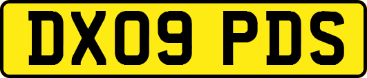 DX09PDS