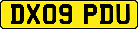 DX09PDU