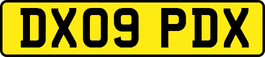 DX09PDX
