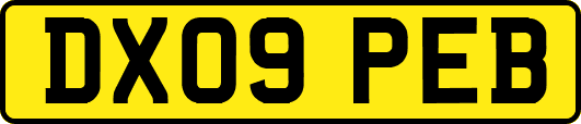 DX09PEB