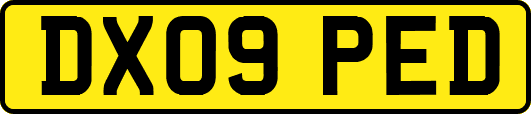 DX09PED