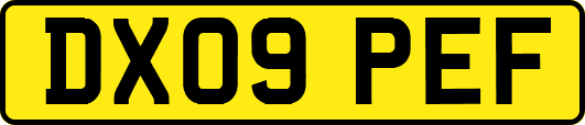 DX09PEF