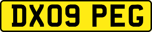 DX09PEG
