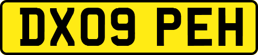DX09PEH