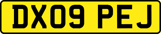 DX09PEJ