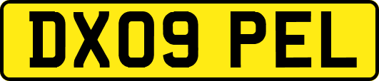 DX09PEL